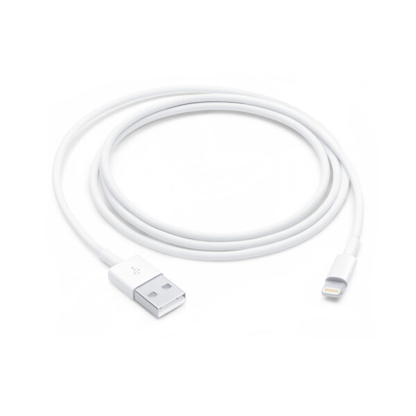 Apple Lightning USB  kaabel (1 м)